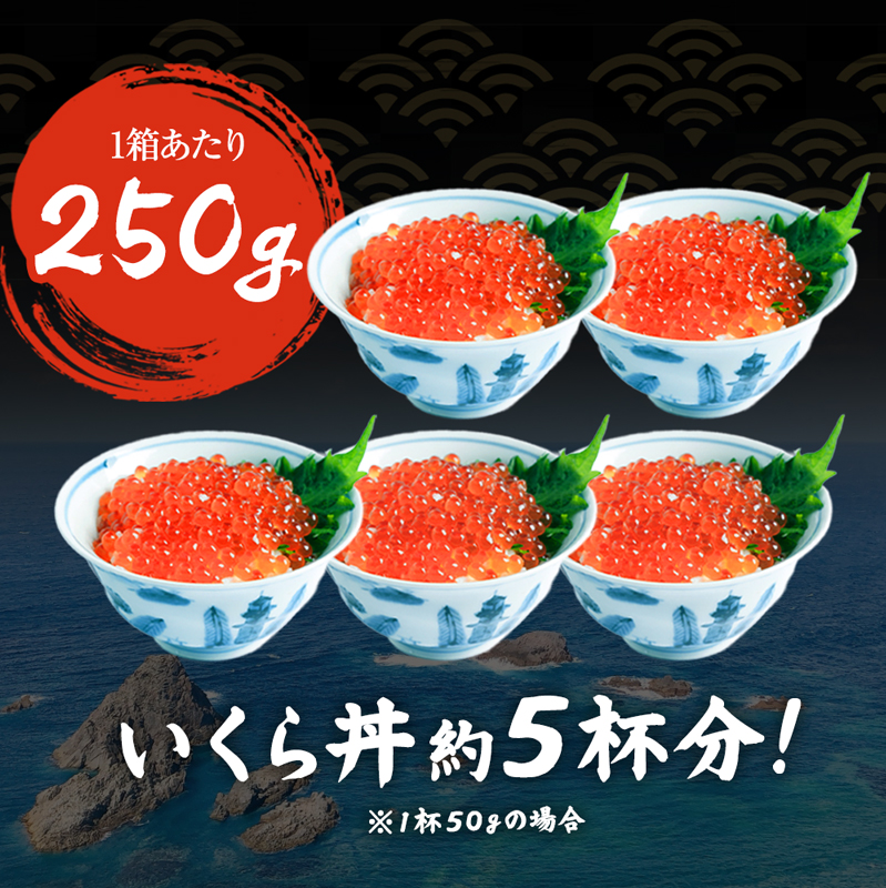 数量限定】北海道産笹谷商店いくら醤油漬け（250g）(1箱 250g): 魚介類