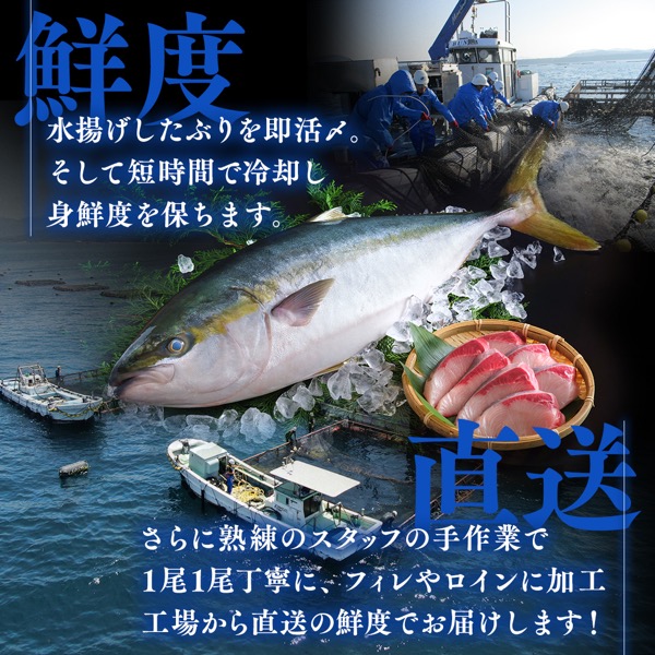 活〆黒瀬ぶりフィーレ（半身・皮付き）1本(フィーレ（皮付き）1本 1本