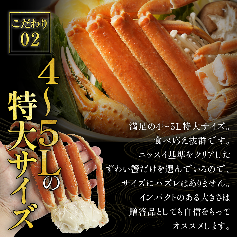 ボイルずわいがに脚肩 約2kg（4肩）(1箱 約2kg(4肩) 5L): 魚介類