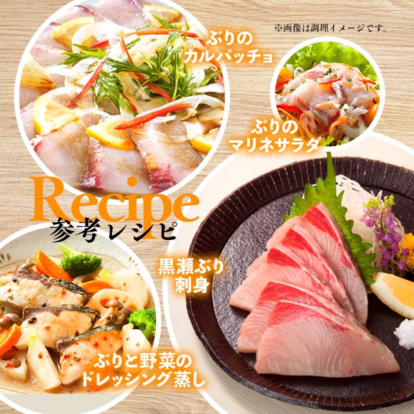 【大人気商品！やっと再入荷！】白に黒のプリプリ金魚　高級感溢れる半幅帯 活〆黒瀬ぶりフィーレ（半身・皮付き）1本(フィーレ（皮付き）1本 1本