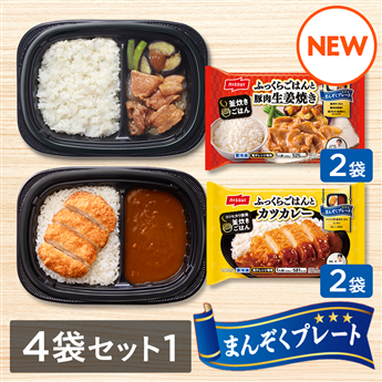 まんぞくプレート お手軽4袋セット①（豚肉生姜焼き・カツカレー 各2袋　計4袋）