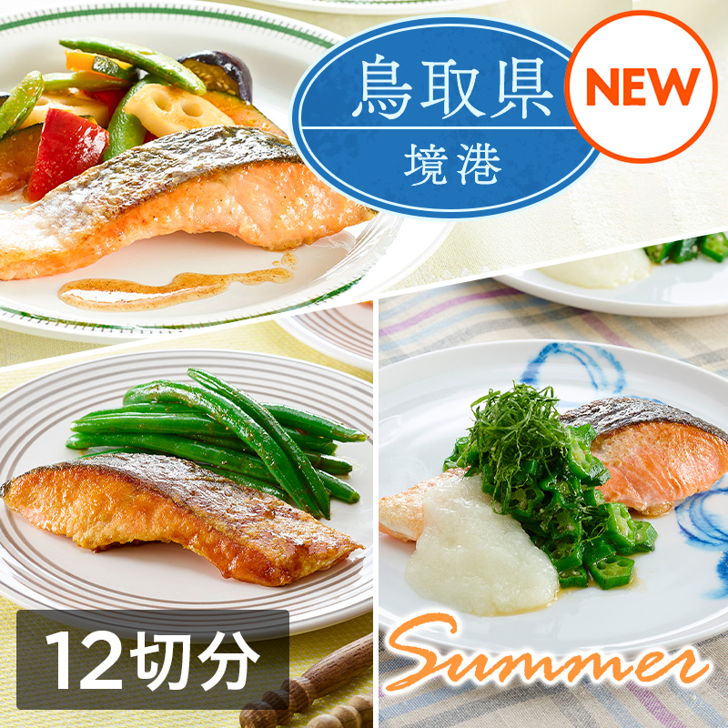 ミールキット「境港サーモン 夏メニューセット」（12切分）レシピ付き（境港サーモン切身12切・きざみオクラ・国産大根おろし・いんげん・5色の彩りごろっと野菜ミックス各1袋）