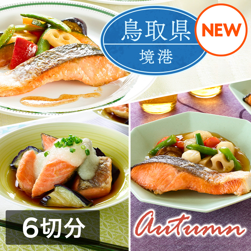 ミールキット「境港サーモン 秋メニューセット」（6切分）レシピ付き（境港サーモン切身6切・和風野菜ミックス・しょうが入り和風あん・揚げなす・国産大根おろし・5色の彩りごろっと野菜ミックス各1袋）