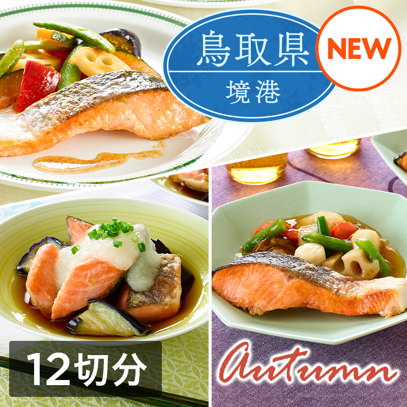 ミールキット「境港サーモン 秋メニューセット」（12切分）レシピ付き（境港サーモン切身12切・和風野菜ミックス・しょうが入り和風あん・揚げなす・国産大根おろし・5色の彩りごろっと野菜ミックス各1袋）