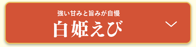 白姫えび