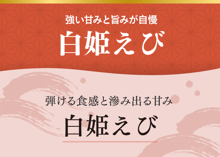 白姫えび