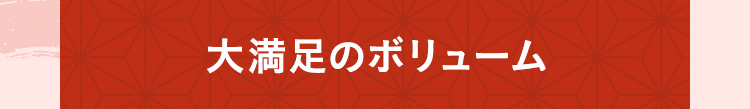 大満足のボリューム