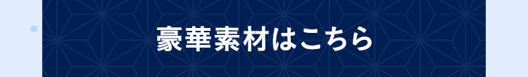 豪華素材はこちら