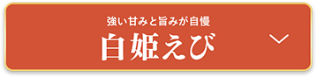 白姫えび