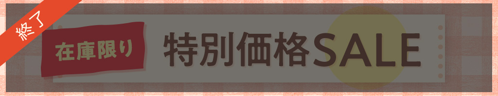 在庫限り！特別価格セール
