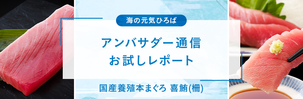 アンバサダー通信 今月のお試しレポート（国産養殖本まぐろ喜鮪）