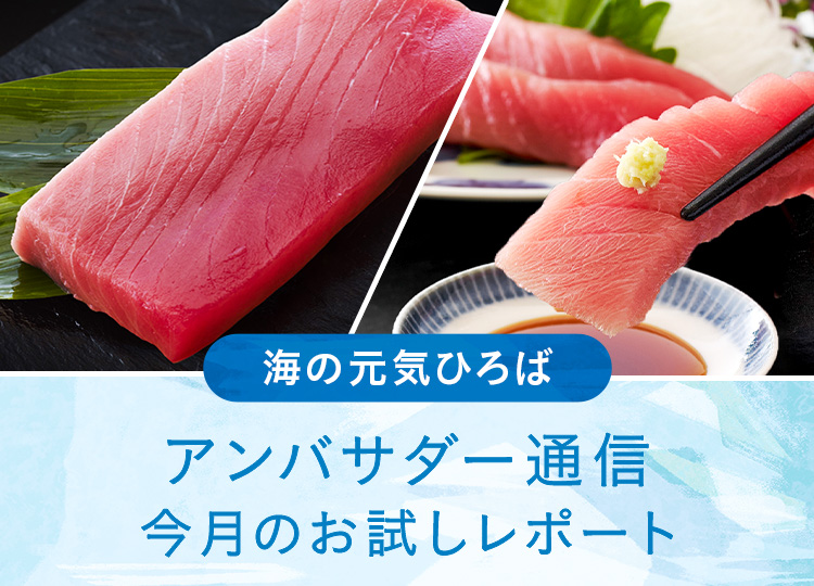 アンバサダー通信 今月のお試しレポート（国産養殖本まぐろ喜鮪）