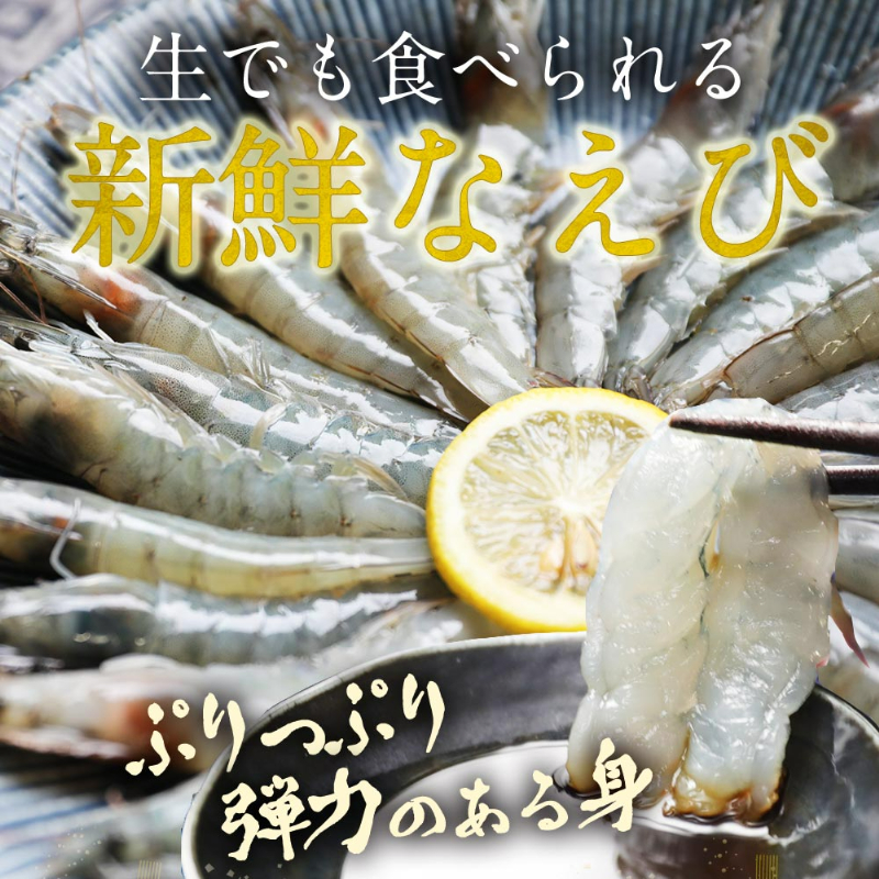 生でも食べられる新鮮なえび。ぷりっぷり弾力のある身。