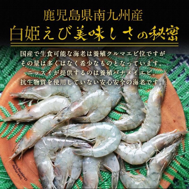 鹿児島県南九州産、白姫えび美味しさの秘密。国産で生食可能な海老は養殖クルマエビ位ですがその量は多くはなく希少なものとなっています。ニッスイが提供するのは養殖バナメイエビ。抗生物質を使用していない安心安全の海老です。