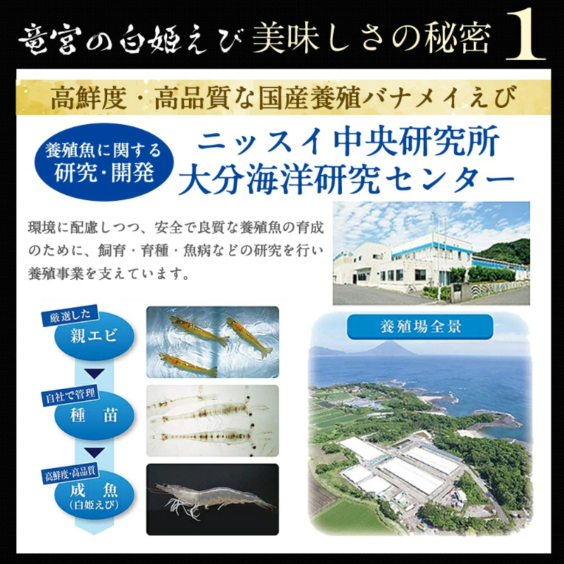 竜宮の白姫えび美味しさの秘密1。高鮮度・高品質な国産養殖バナメイえび。養殖魚に関する研究・開発を行う、ニッスイ中央研究所大分海洋研究センターで環境に配慮しつつ、安全で良質な養殖魚の育成のために、飼育・育種・魚病などの研究を行い養殖事業を支えています。