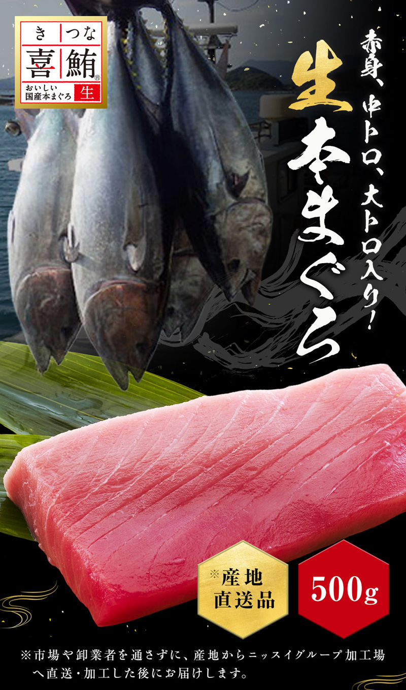 産地直送！喜鮪のおいしい国産本まぐろ。赤身、中トロ、大トロ入り！生本まぐろをニッスイが厳選しました。
