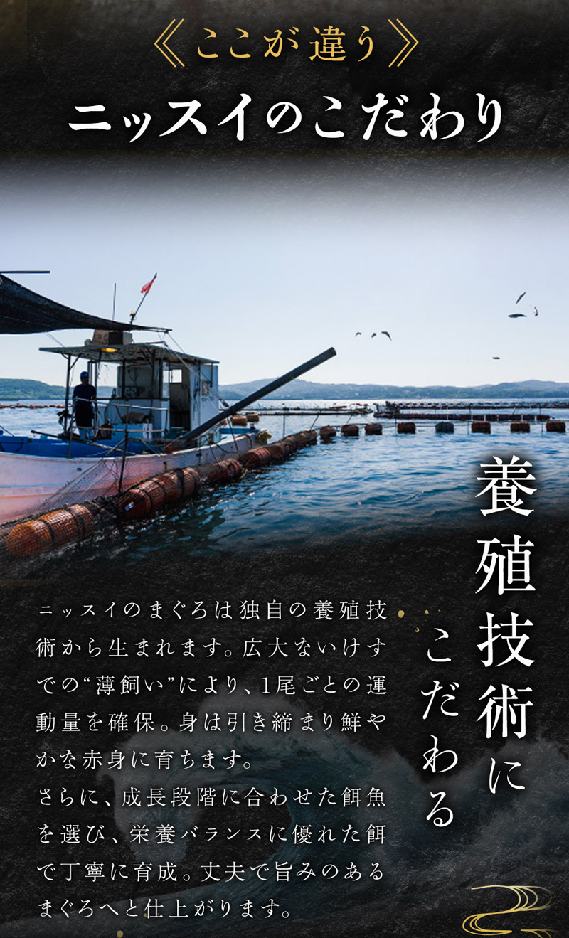 ニッスイ厳選、喜鮪のおいしい国産本まぐろは、養殖技術にこだわりました。ニッスイのまぐろは独自の養殖技術から生まれます。広大ないけすでの薄飼いにより、1尾ごとの運動量を確保。身は引き締まり鮮やかな赤身に育ちます。さらに、成長段階に合わせた餌魚を選び、栄養バランスに優れた餌で丁寧に育成。上部で旨みのあるまぐろへの仕上がります。