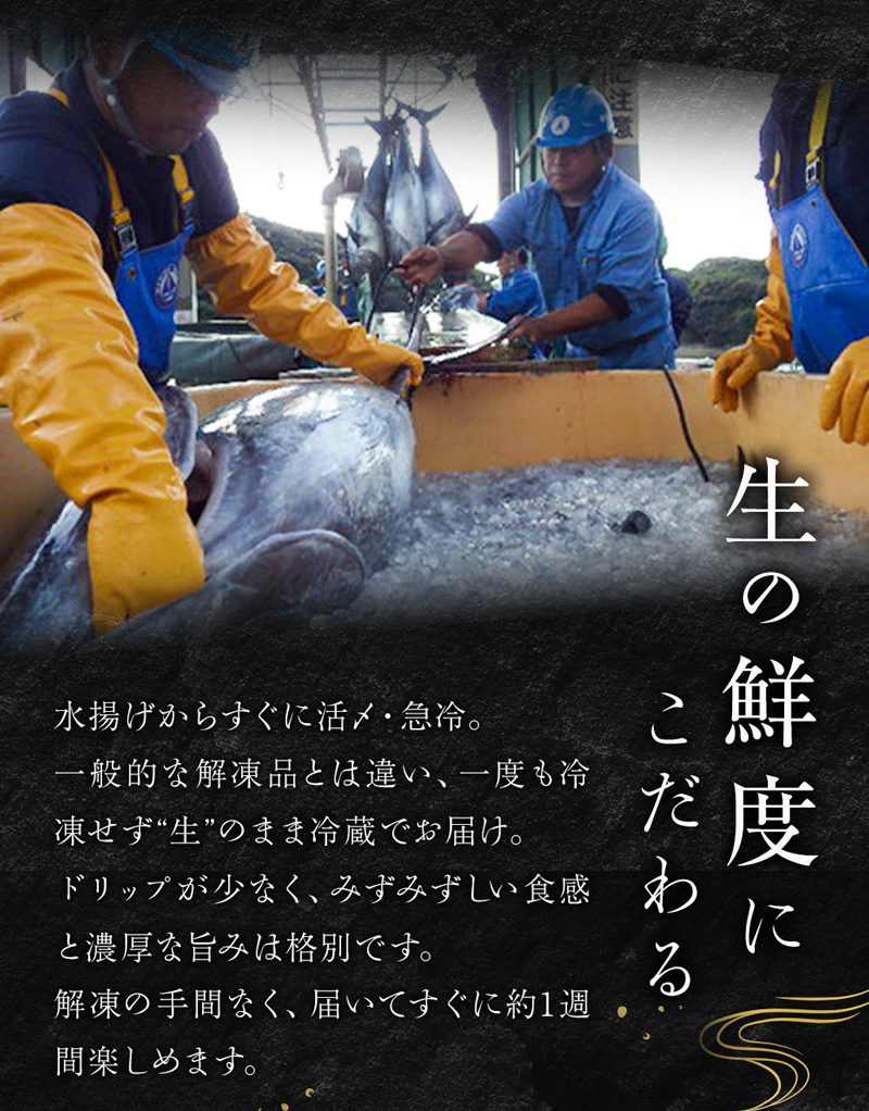 ニッスイ厳選、喜鮪のおいしい国産本まぐろは、生の鮮度にこだわりました。水揚げからすぐに活〆、急冷。一般的な解凍品とは違い、一度も凍らせず生のまま冷蔵でお届けします。ドリップが少なく、みずみずしい食感と濃厚な旨みは格別です。解凍の手間なく、届いてすぐに約1週間楽しめます。