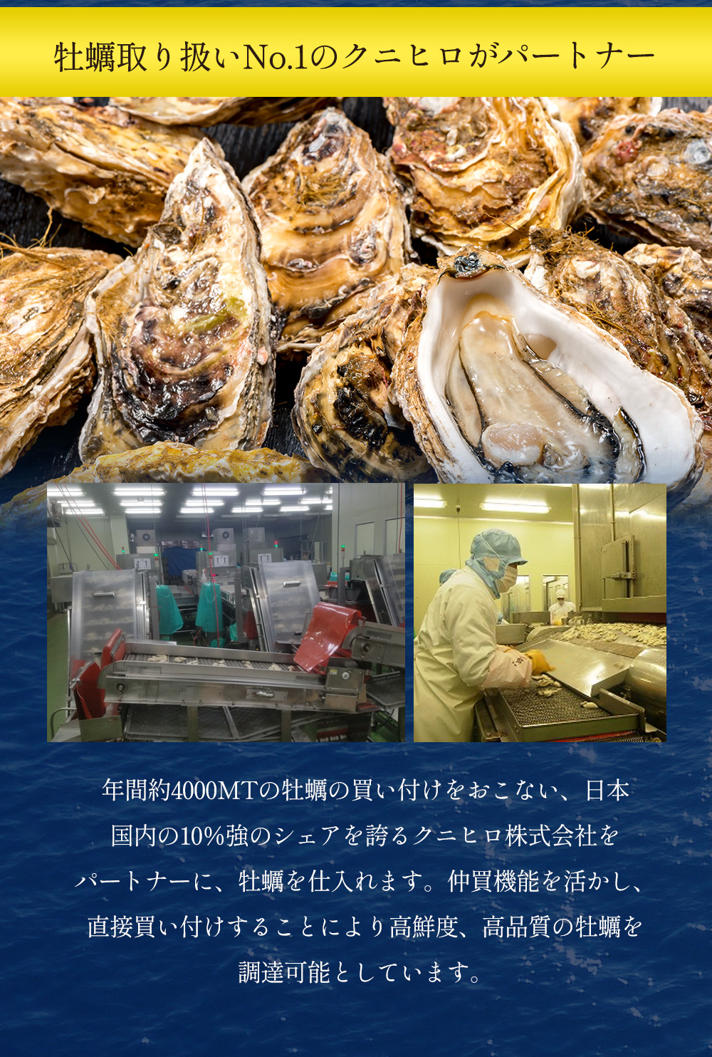 「牡蠣取り扱いNo.1のクニヒロがパートナー」直接買い付けすることにより高鮮度、高品質の牡蠣を調達可能としています。