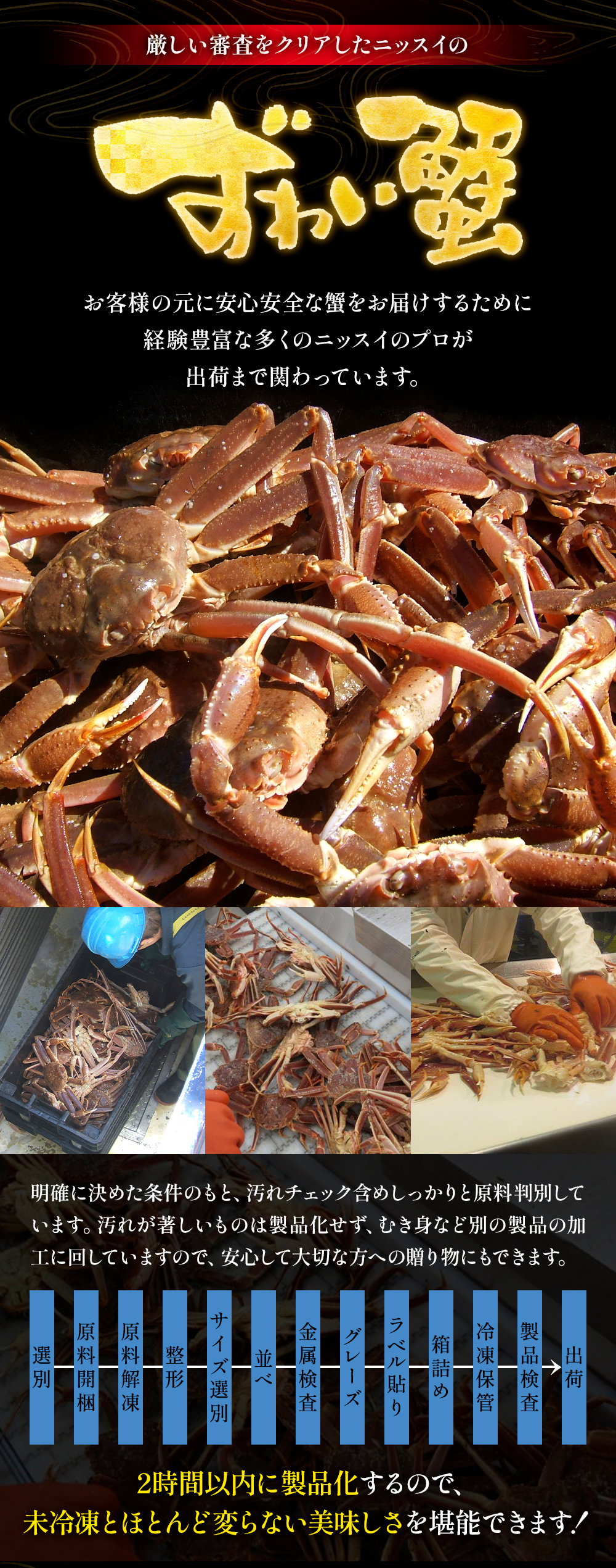 お客様の元に安心安全なカニをお届けするために経験豊富な多くのニッスイのプロが出荷まで関わっています。
