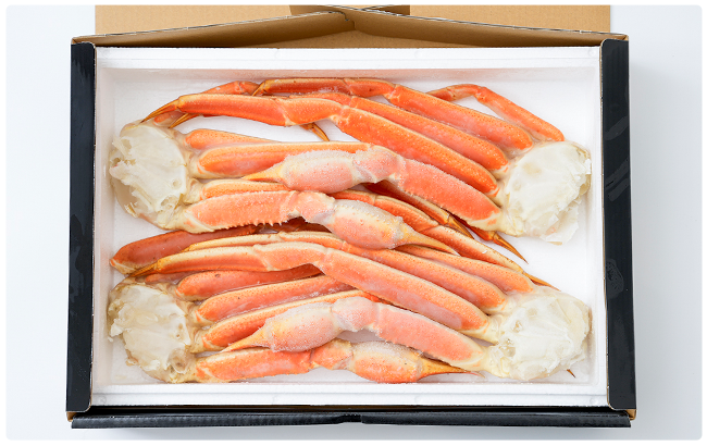 ボイルずわいがに脚肩約2kg（4肩）