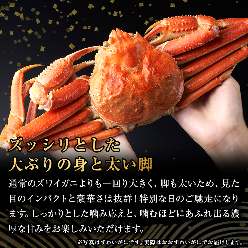 通常のズワイガニよりも一回り大きく、脚も太いため、見た目のインパクトと豪華さは抜群!特別な日のご馳走になります。しっかりとした噛み応えと、噛むほどにあふれ出る濃厚な甘みをお楽しみいただけます。