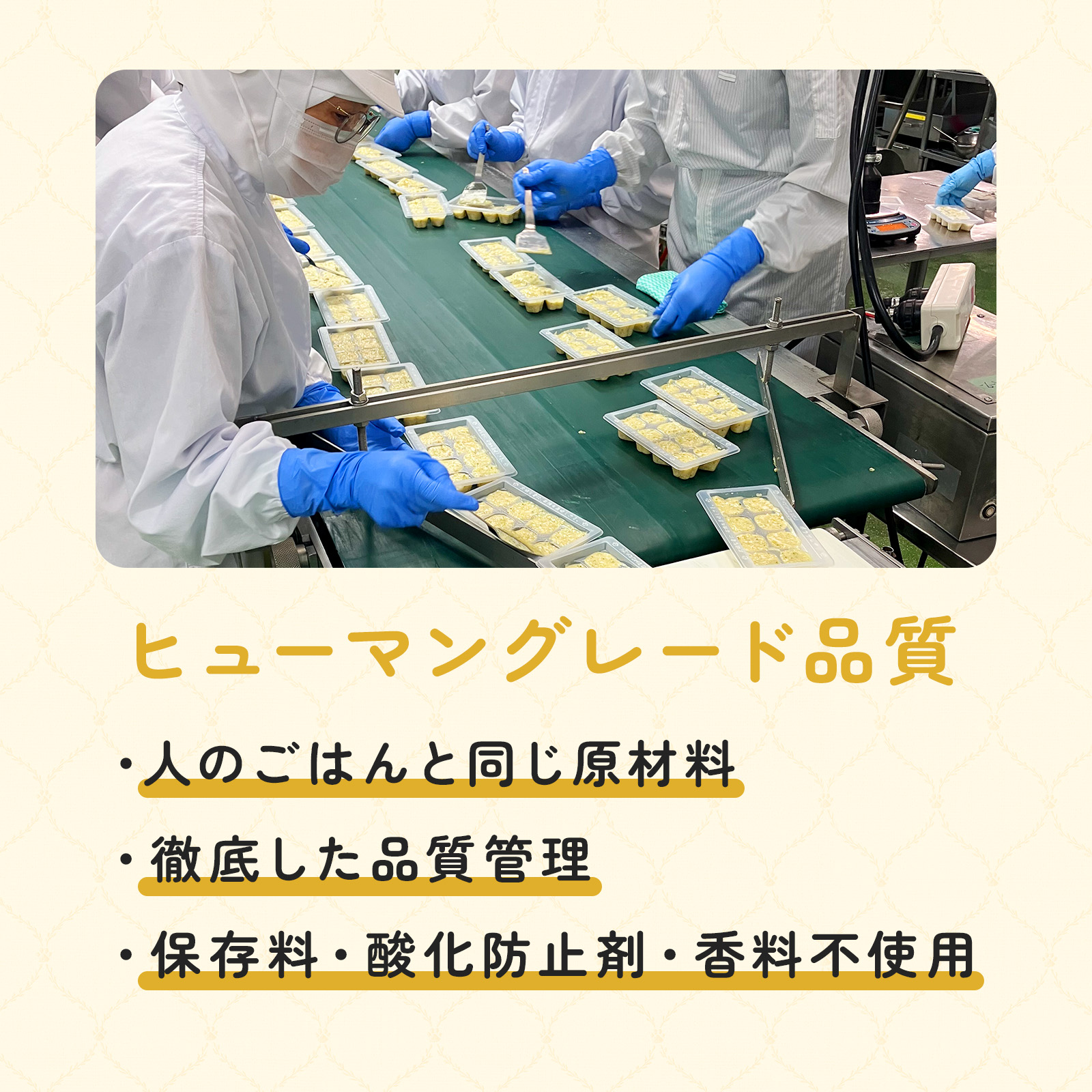 「PAWSOME DELI（ポウサムデリ）」ヒューマングレート品質のペットフード。人のごはんと同じ原材料。徹底した品質管理。保存料、酸化防止剤、香料不使用。