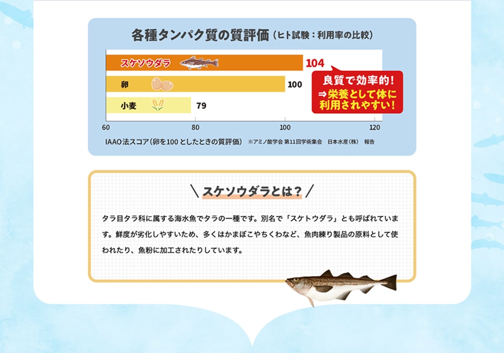 各種タンパク質の質評価(ヒト試験：利用率の比較) _スケソウダラとは？