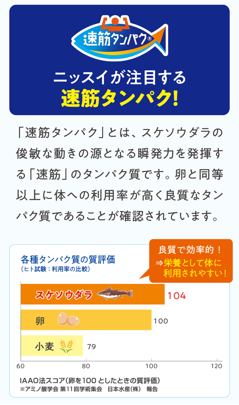 ニッスイの速筋タンパクは良質なタンパク質です。