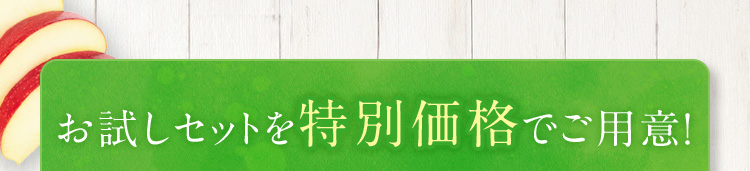 お試しセットを特別価格でご用意!