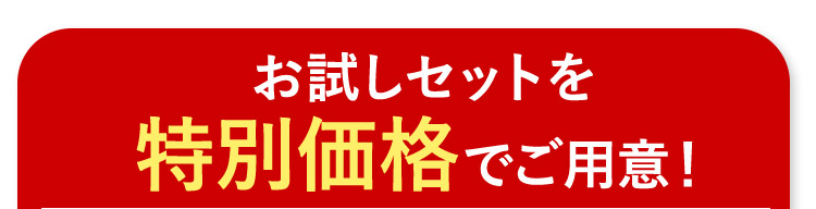 お試しセットを特別価格でご用意！