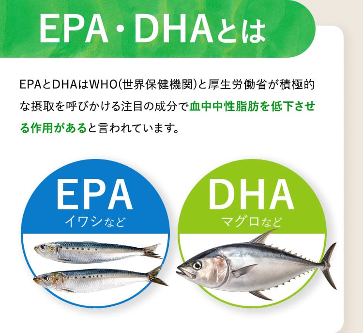 EPA・DHAとは EPAとDHAはWHO（世界保健機関）と厚生労働省が積極的な摂取を呼びかける注目の成分で血中中性脂肪を低下させる作用があると言われています。 EPAイワシなど DHAマグロなど
